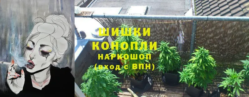 Бошки марихуана OG Kush  hydra онион  Скопин  сколько стоит 